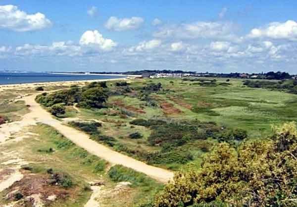 The Olive Tree Bed and Breakfast Gosport Exteriör bild